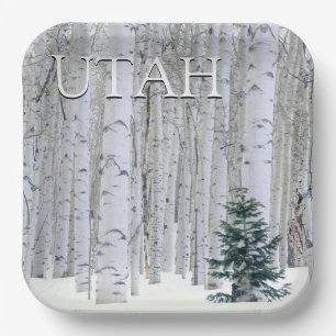 Manti-LaSal National Forest, Utah Paper Plate