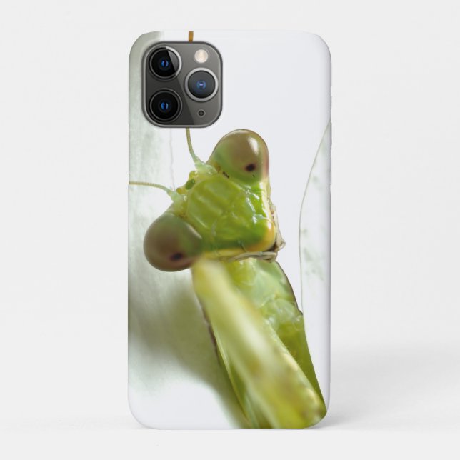Mantid Case-Mate iPhone Case (Back)
