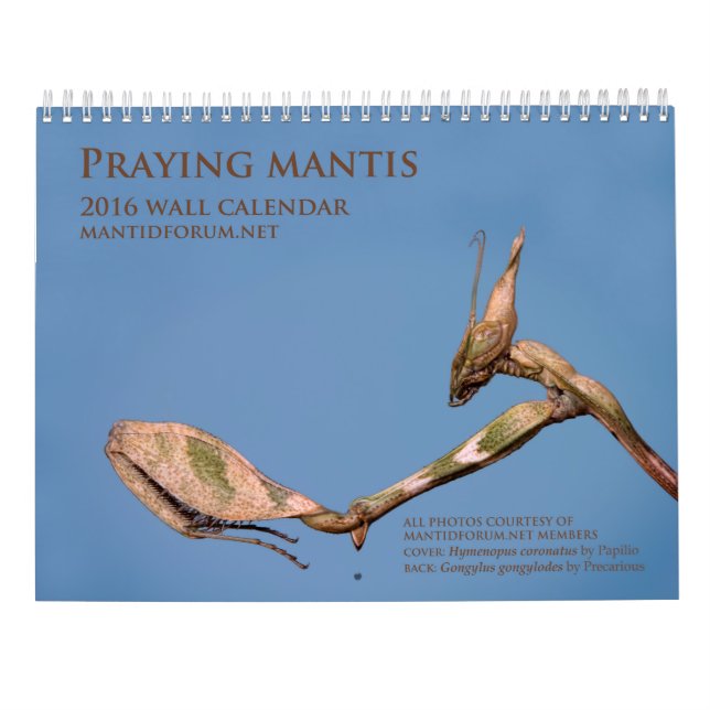 Mantidforum.net 2016 Praying Mantis Wall Calendar (Back)