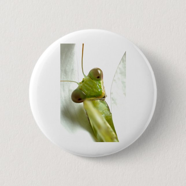 Mantids 2 Inch Round Button (Front)