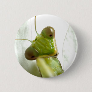 Mantids 2 Inch Round Button