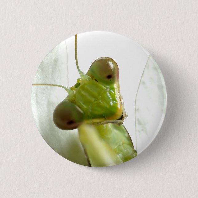 Mantids 2 Inch Round Button (Front)