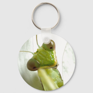 Mantids Keychain