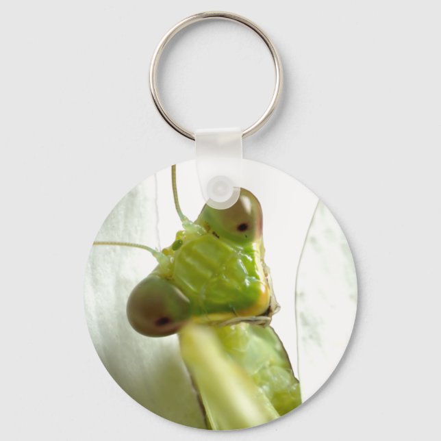 Mantids Keychain (Front)