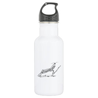 Mantis 532 Ml Water Bottle