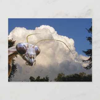 Mantis and Cloud ~ postcard