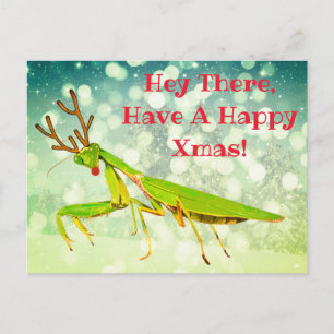 Mantis de prière à nez rouge carte postale de Noël