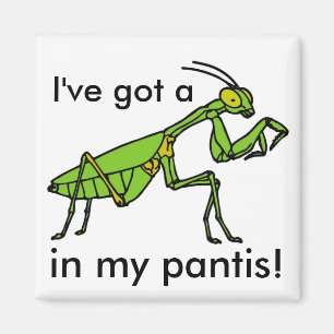 Mantis in my Pantis! Magnet