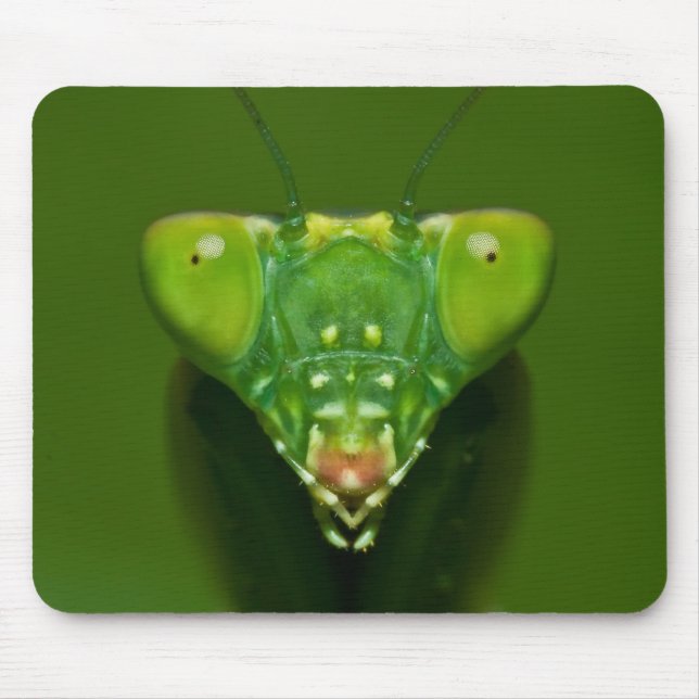 Mantis Mouse Pad (Front)