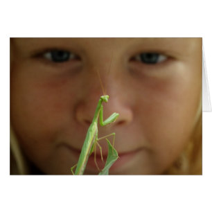Mantis religiosa