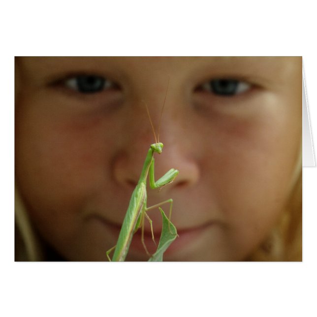 Mantis religiosa (Devant horizontal)