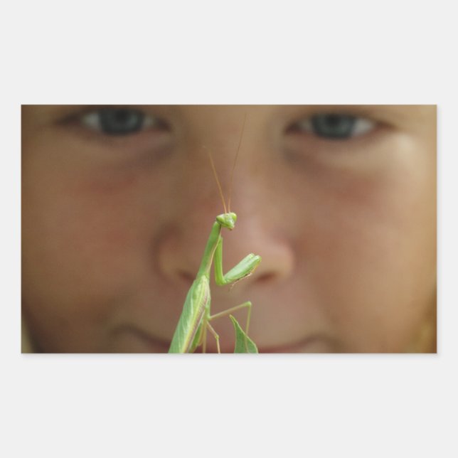 Mantis religiosa sticker (Front)