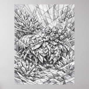 Mantis Shrimp Coral Geometry Art Poster