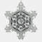 Mantra Snow Flake Ornament