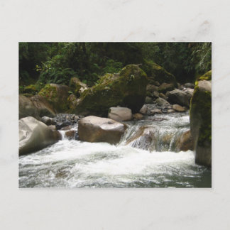 Manu National Park Postcard