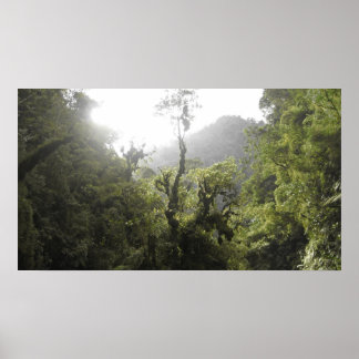 Manu National Park Poster