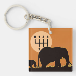 MANUAL - Endangered Keychain