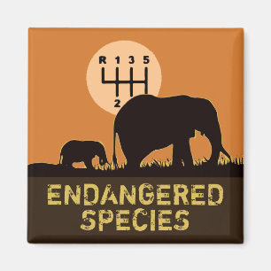 MANUAL - Endangered Magnet