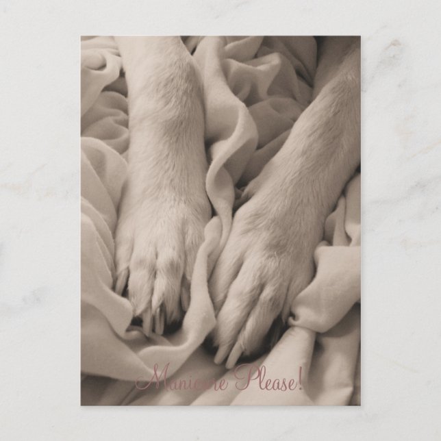 Manucure Please ~ Carte postale (Devant)