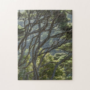 Manuka Tree Forest New Zealand Jigsaw Puzzle