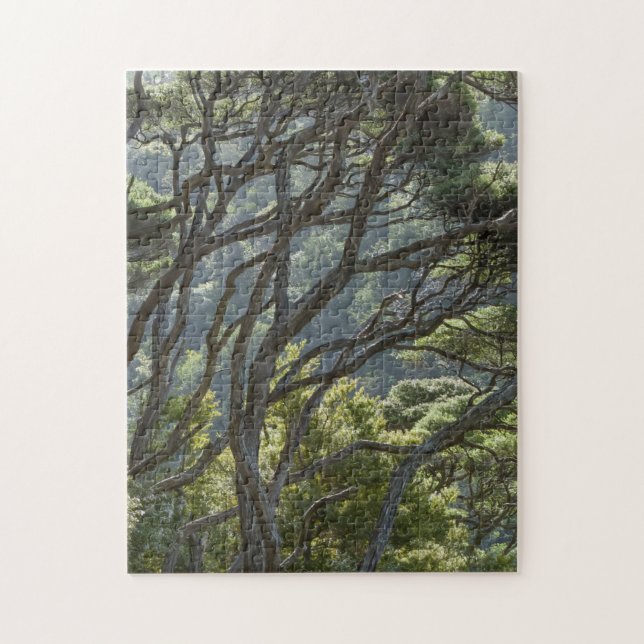 Manuka Tree Forest New Zealand Jigsaw Puzzle (Vertical)