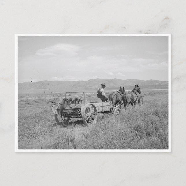 Manure Spreader Postcard (Front)