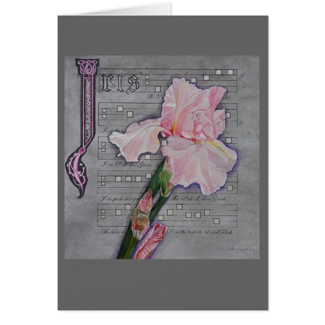 Manuscrit rose d'iris (Devant)