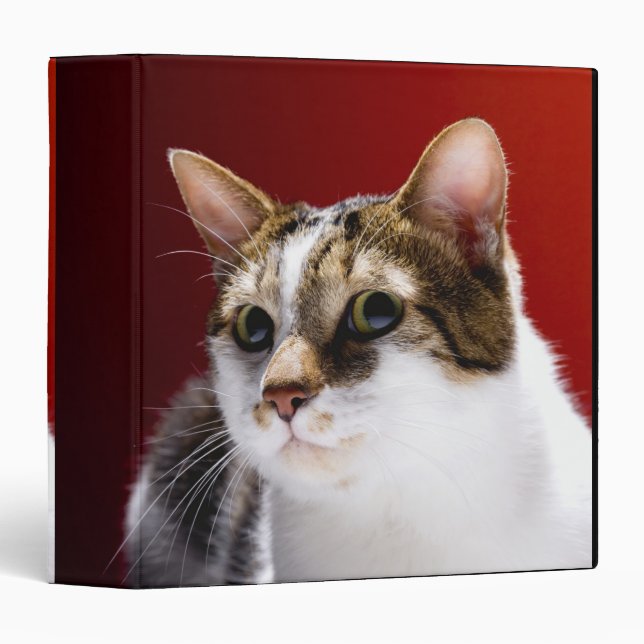 Manx cat binder (Front/Spine)