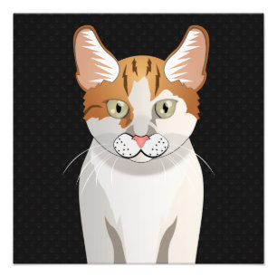 Manx Cat Cartoon Paws Photo Print