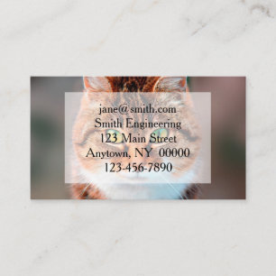Manx Cat Face Looking Business Card