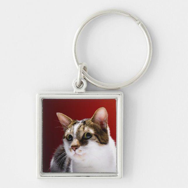 Manx cat keychain (Front)