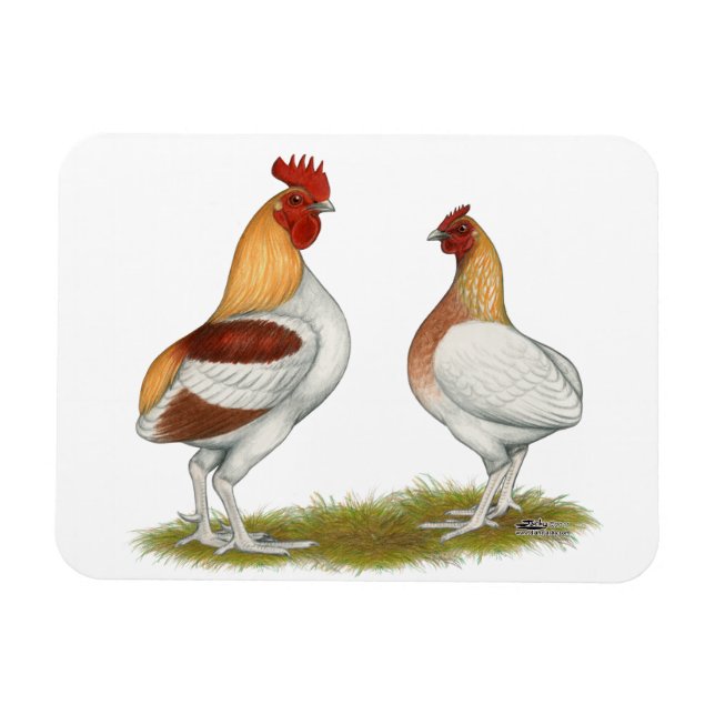 Manx Rumpies Magnet (Horizontal)