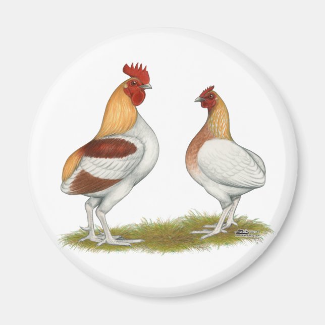 Manx Rumpies Magnet (Front)