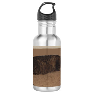 manx sleeping.png 532 ml water bottle