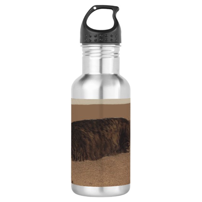 manx sleeping.png 532 ml water bottle (Front)