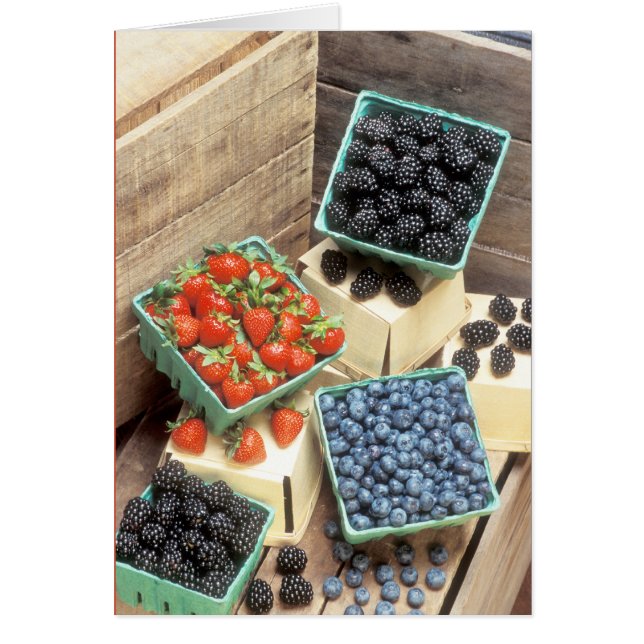 Many Berries (Front)