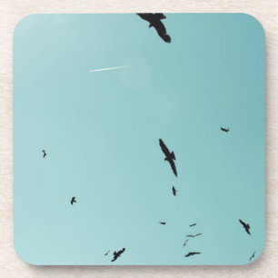 Many birds and a contrail coaster