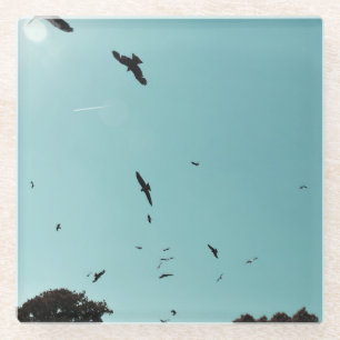 Many birds and a contrail glass coaster