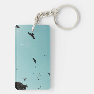 Many birds and a contrail keychain
