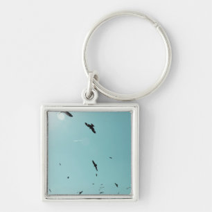 Many birds and a contrail keychain