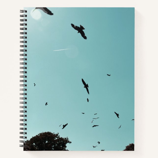 Many birds and a contrail notebook (Front)