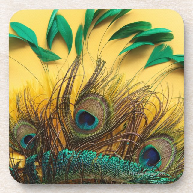 Many different kinds of feathers on a yellow coaster (Front)