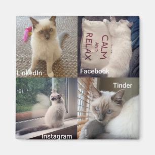 Many faces of a Ragdoll Cat Magnet