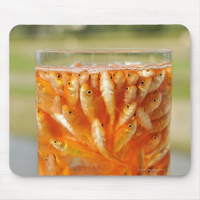 Many goldfish which are in the glass container mouse pad (Front)