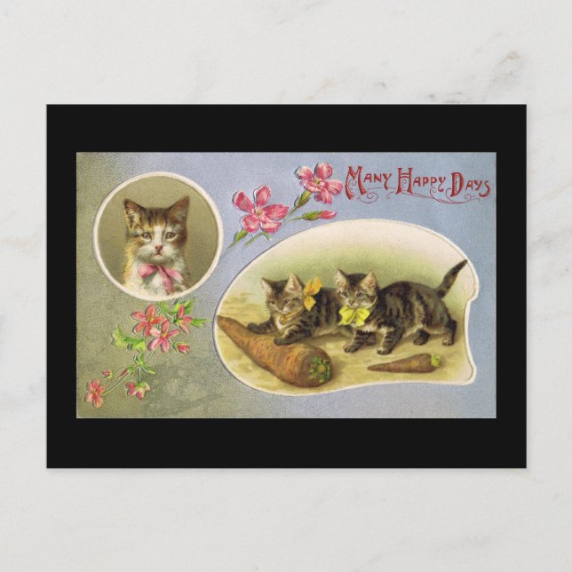 Many Happy Days Postcard (Front)
