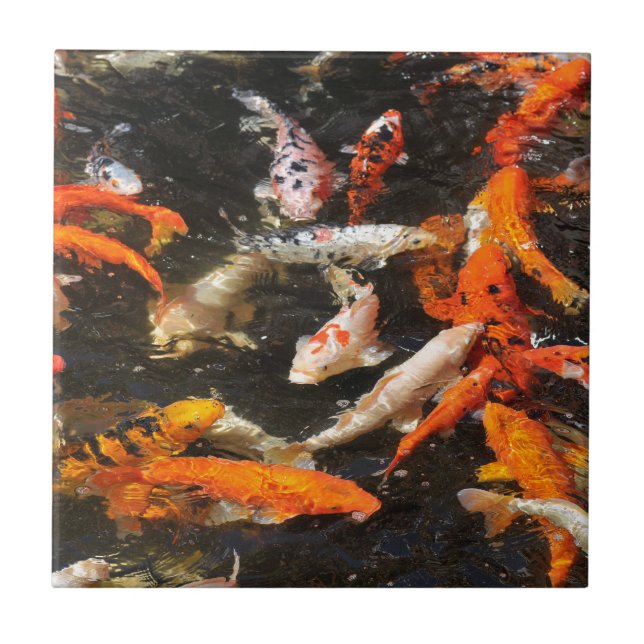Many koi carp multicolor tile (Front)