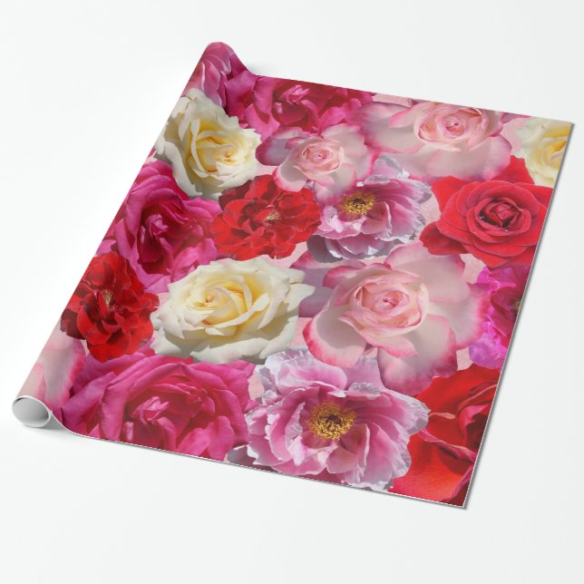 many roses wrapping paper (Unrolled)
