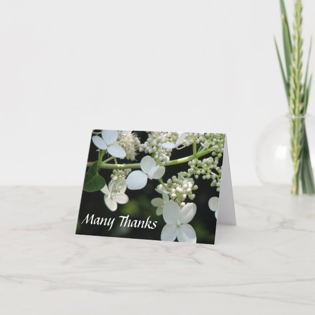 Many Thanks Notecard (Front)