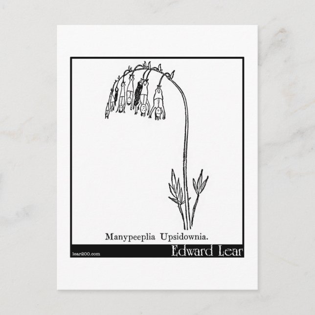 Manypeeplia Upsidownia. Postcard (Front)