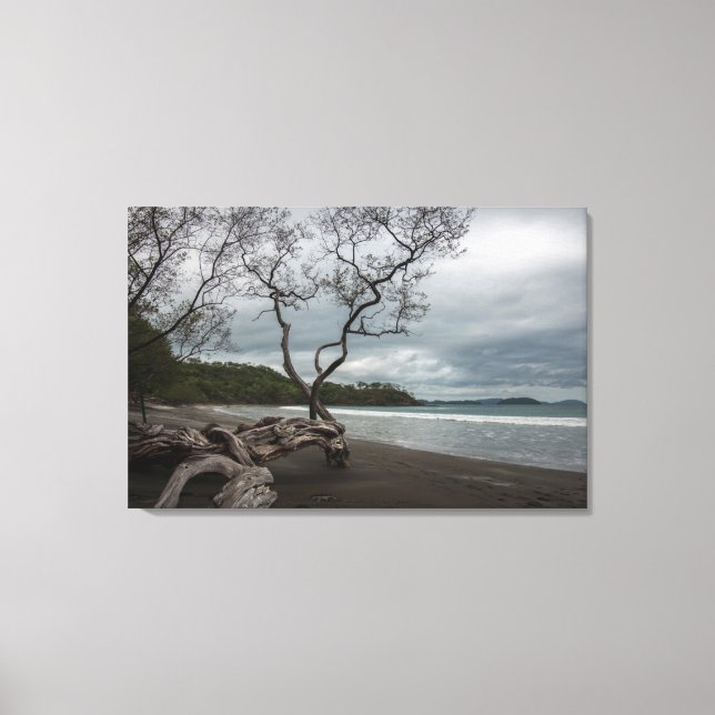 Manzanillo Canvas Print (Front)